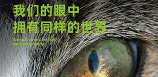 十大內(nèi)刊版式設(shè)計(jì)方法
